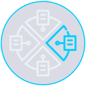 Customized Solutions Icon