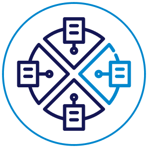 Customized Solutions Icon