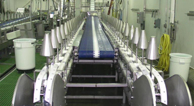 CL-T-Series Cone Line for Turkey