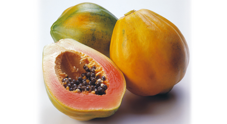 Endura-Fresh 6100 - protective coating for papaya | JBT FoodTech