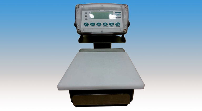 Balança de QA Bench Scale