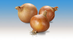 jbt ftnon onions