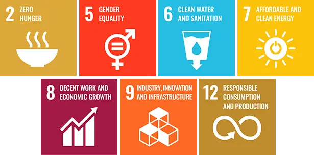 Our UN SDGs